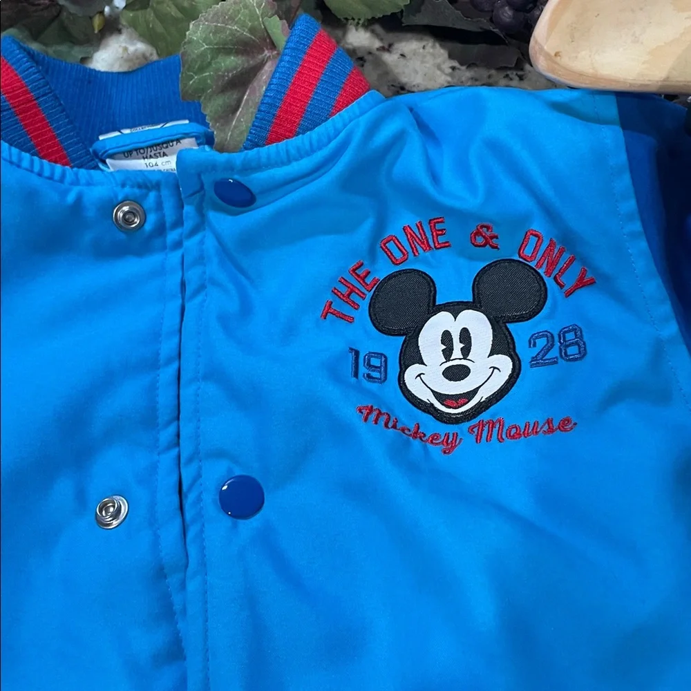 Disney mickey mouse